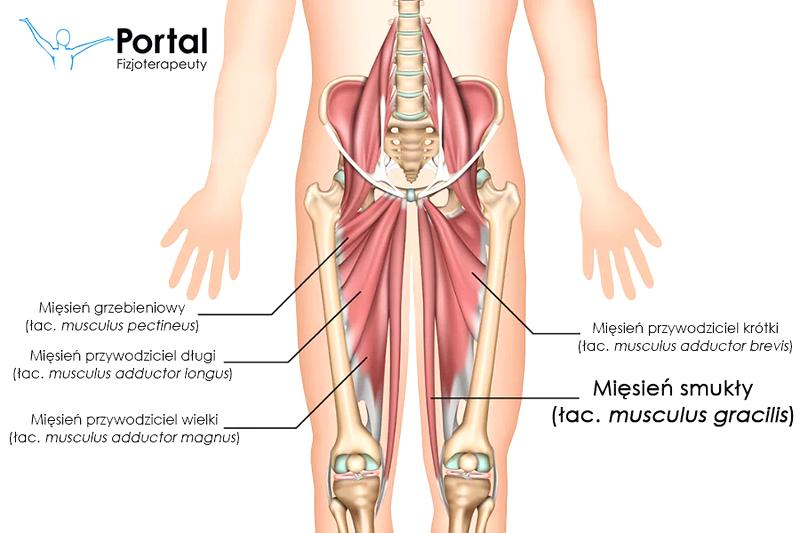 Diagnostyka urazów kolana