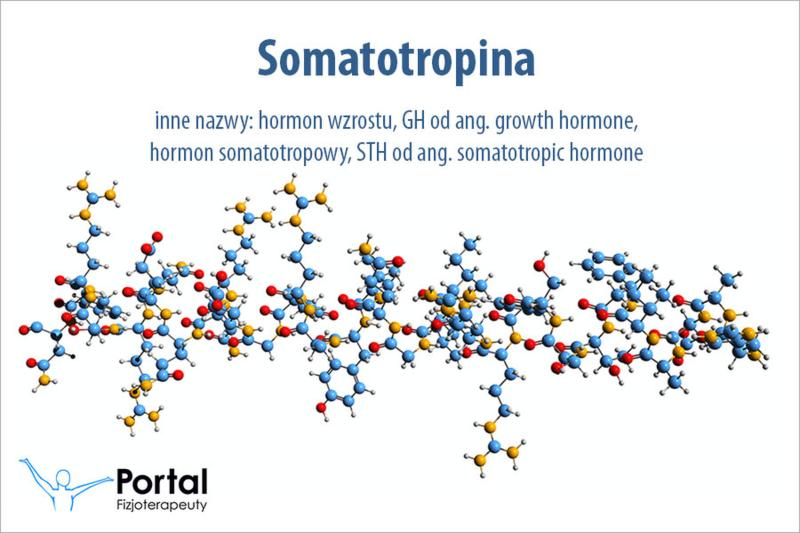 Naturalne wydzielanie hormonu wzrostu